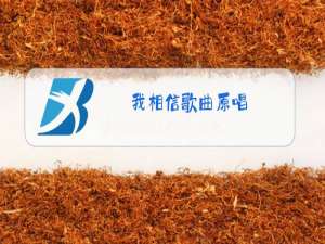 我相信歌曲原唱