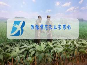 我像雪花天上来原唱