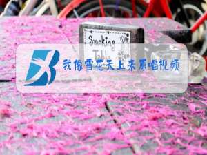 我像雪花天上来原唱视频