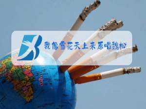 我像雪花天上来原唱魏松