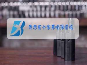 我想有个家原唱深情版