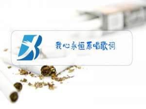 我心永恒原唱歌词