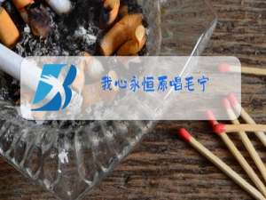 我心永恒原唱毛宁