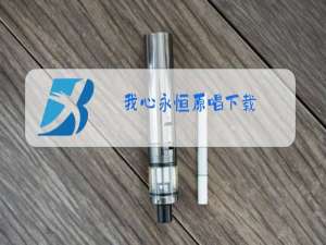 我心永恒原唱下载