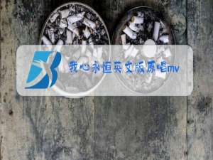 我心永恒英文版原唱mv