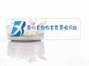 我心有你你有我原唱词曲