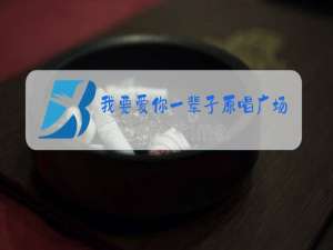 我要爱你一辈子原唱广场舞