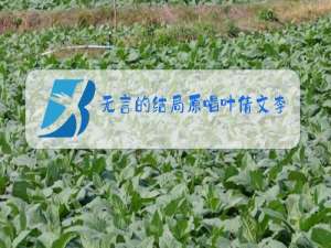 无言的结局原唱叶倩文李茂山