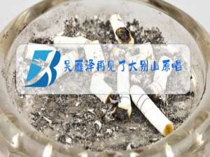 吴雁泽再见了大别山原唱歌曲