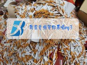 我在贵州等你原唱mp3