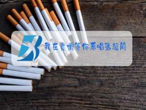 我在贵州等你原唱张超简历