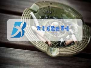 我走后歌曲原唱