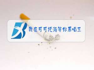 我在可可托海等你原唱王琪歌普