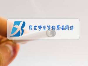 我在梦里等你原唱简谱