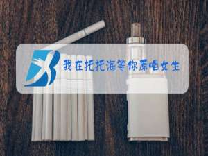 我在托托海等你原唱女生版