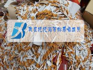 我在托托海等你原唱亚男