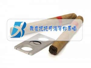 我在托托可海等你原唱