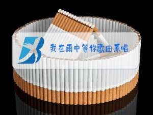 我在雨中等你歌曲原唱