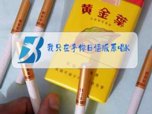 我只在乎你日语版原唱KTV