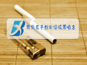 我只在乎你日语版原唱名字