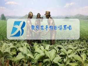 我只在乎你日语原唱