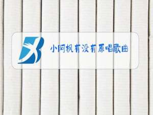 小阿枫有没有原唱歌曲