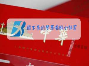 醒不来的梦原唱回小仙百度网盘