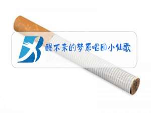 醒不来的梦原唱回小仙歌词