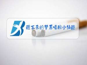 醒不来的梦原唱回小仙酷狗