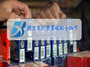 醒不来的梦原唱回小仙下载