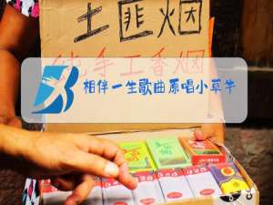 相伴一生歌曲原唱小草牛歌