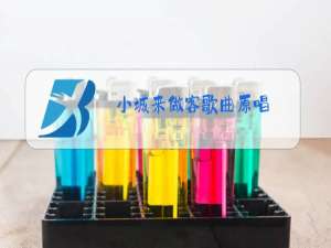 小城来做客歌曲原唱