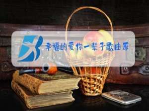 幸福的爱你一辈子歌曲原唱dj版视频简谱