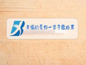 幸福的爱你一辈子歌曲原唱视频