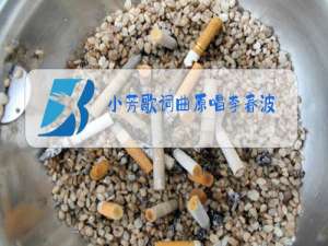 小芳歌词曲原唱李春波