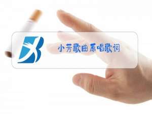 小芳歌曲原唱歌词