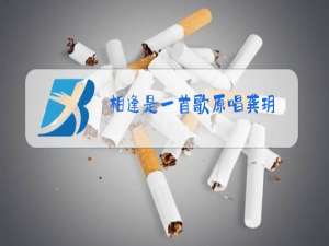 相逢是一首歌原唱龚玥