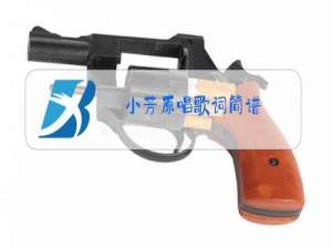 小芳原唱歌词简谱