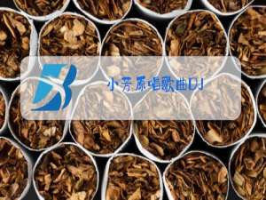 小芳原唱歌曲DJ