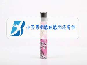 小芳原唱歌曲歌词还有谁唱