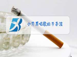 小芳原唱歌曲李春波