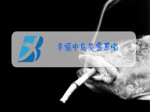 幸福中岛美雪原唱