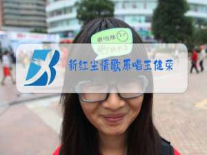 新红尘情歌原唱王健荣