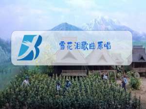 雪花泪歌曲原唱