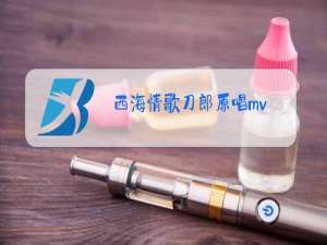 西海情歌刀郎原唱mv