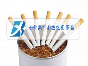 小和尚下山去化斋原唱