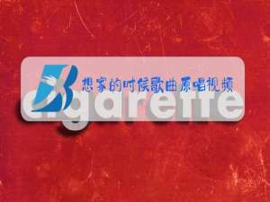 想家的时候歌曲原唱视频