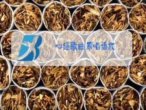 心经歌曲原唱播放