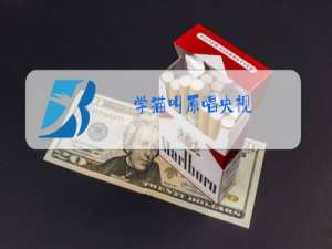 学猫叫原唱央视