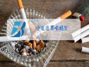 小邋遢原唱杨紫
